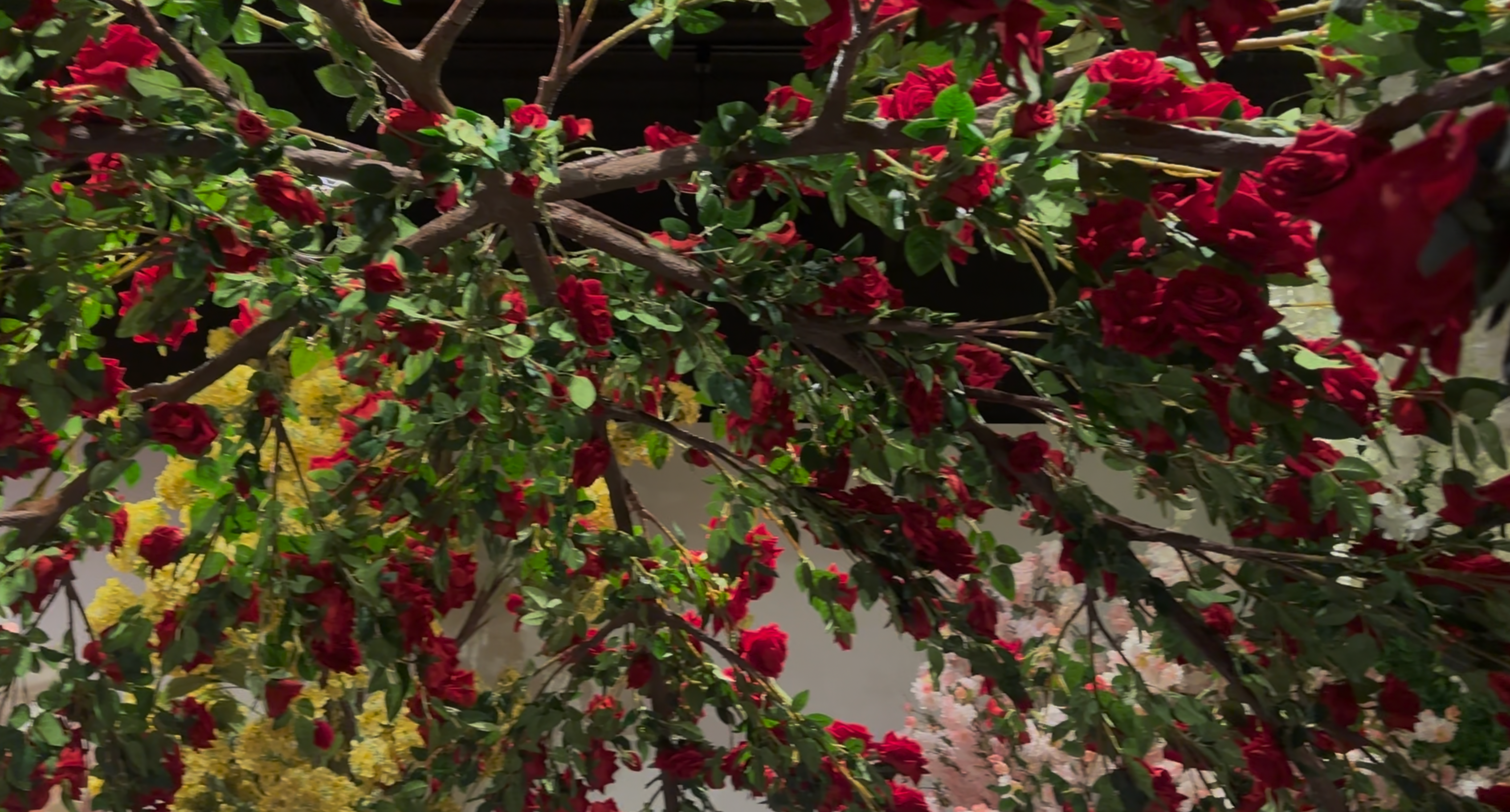 Roses Plants & Structures