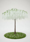 White Wisteria Tree