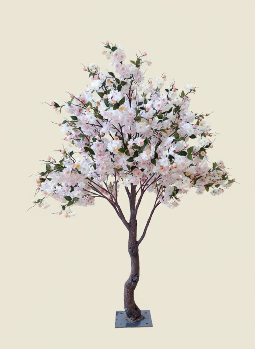 Sakura Blume Tree 1.8M