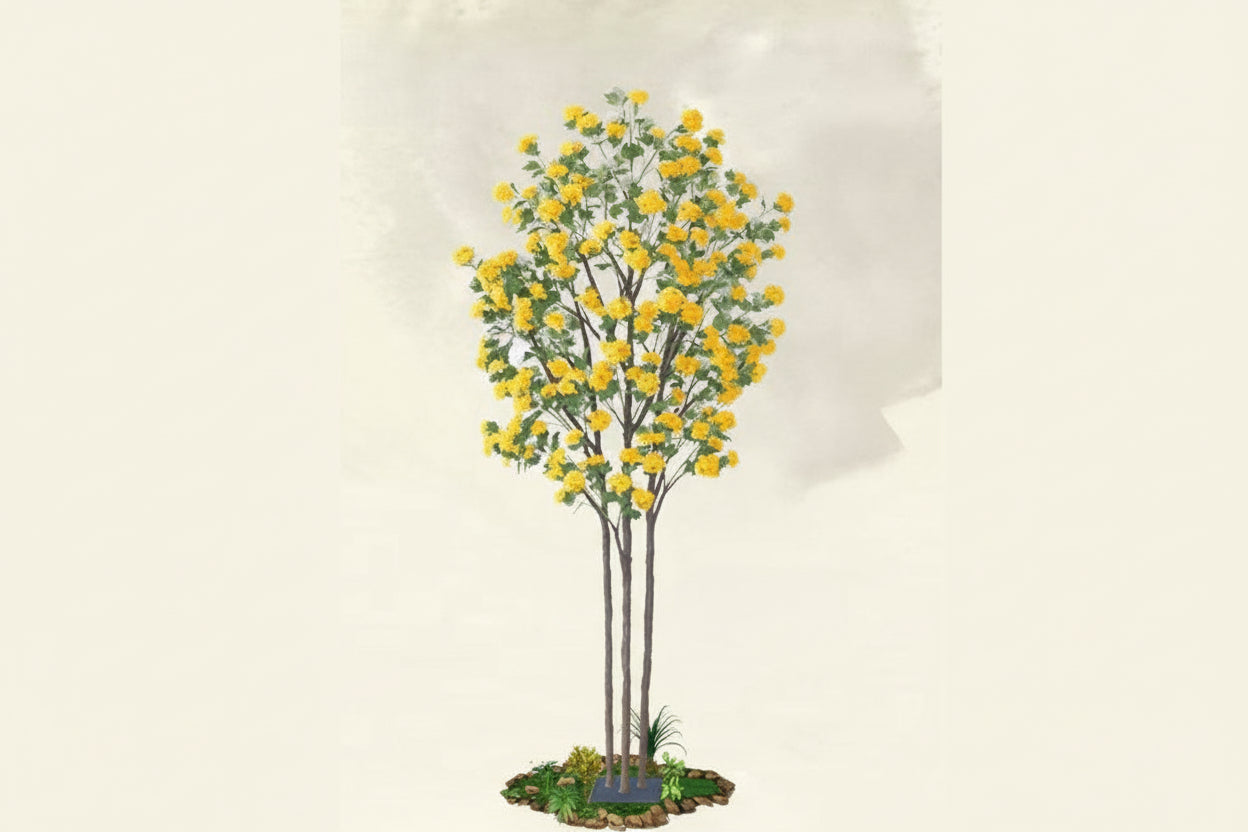 Yellow Sakura Tree