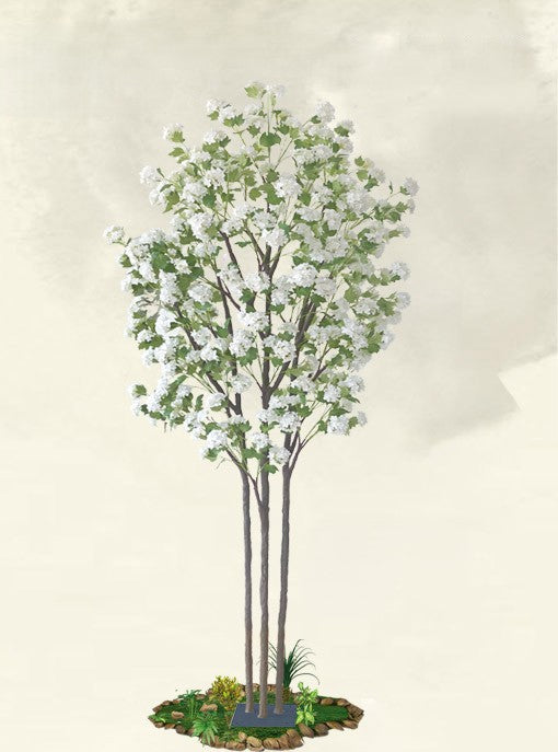 White Sakura Tree