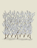 White Sakura Wall