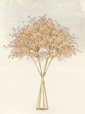 Golden Tree 3.1M