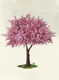 Pink Sakura Tree 3M