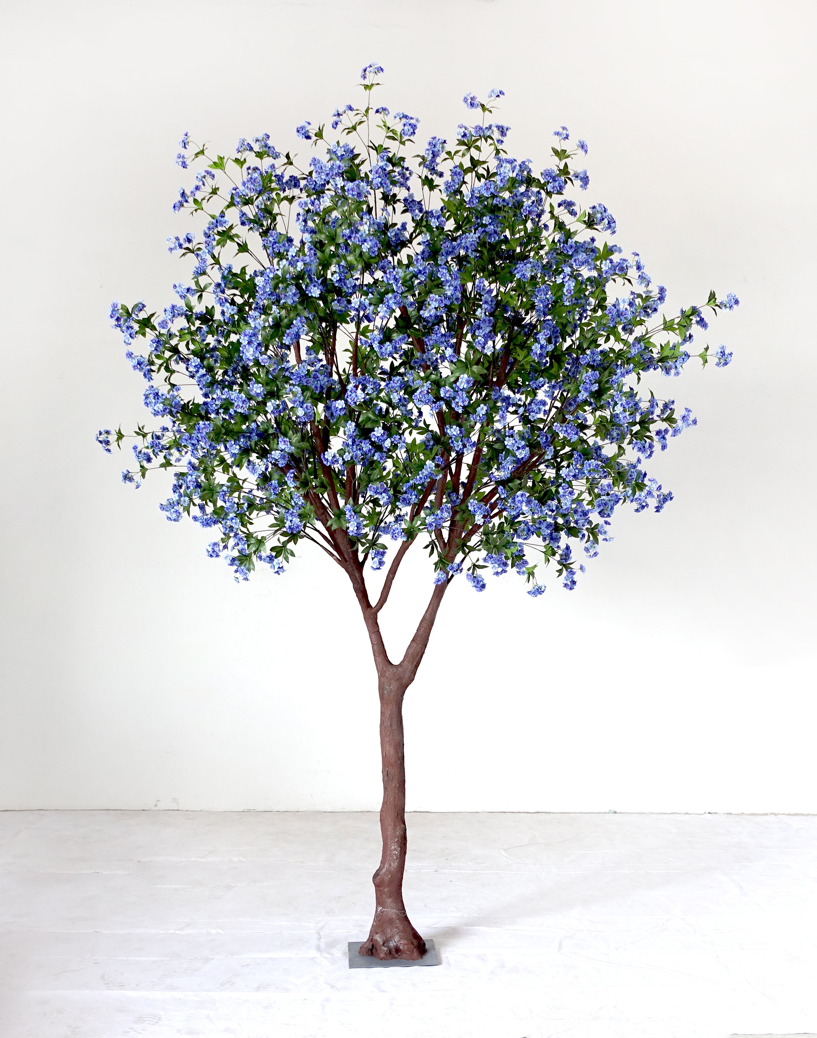 Blue Sakura Tree